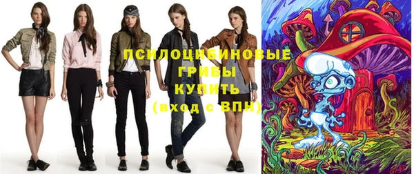 ECSTASY Краснослободск